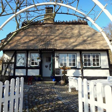 Ferienhaus Rikate Kappeln Luaran gambar